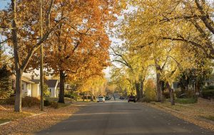 Wheat Ridge Colorado Remodeling Contractors