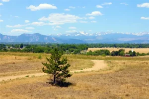 What's the Best Time of Year to Remodel in Colorado?