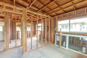 Whole Home Remodel